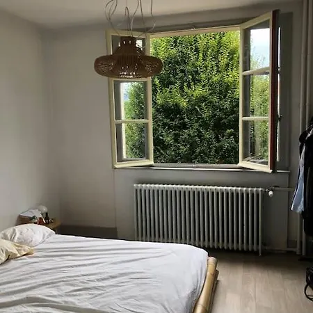 Grand Appartement Dans Belle Maison Avec Jardin Besançon Extérieur photo