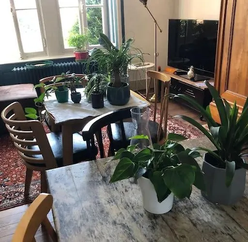 Grand Appartement Dans Belle Maison Avec Jardin